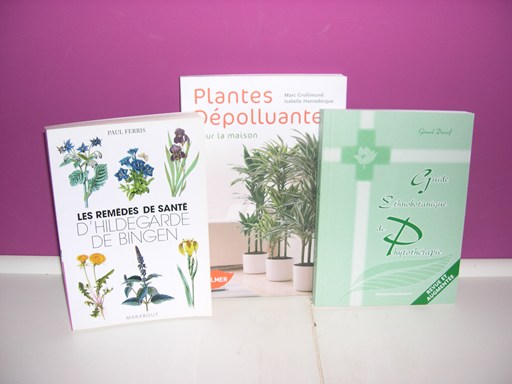 Les plantes