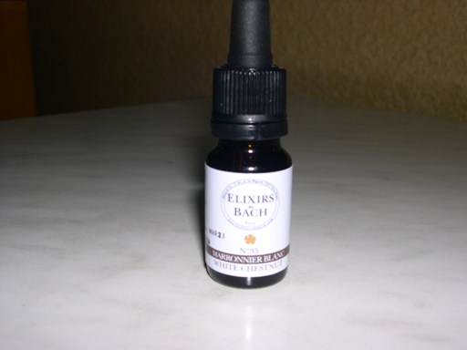 Marronnier Blanc Elixirs Floraux 