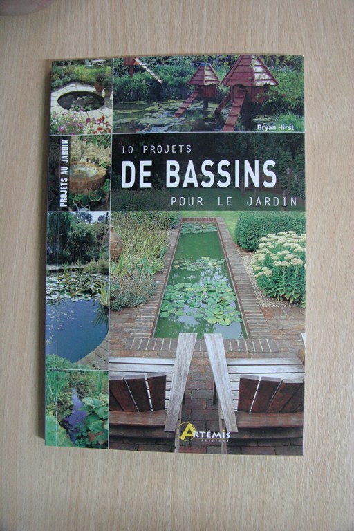 10 Projets de Bassin pour le Jardin