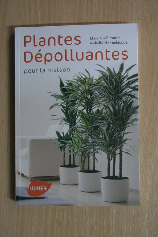 Plantes dépolluantes