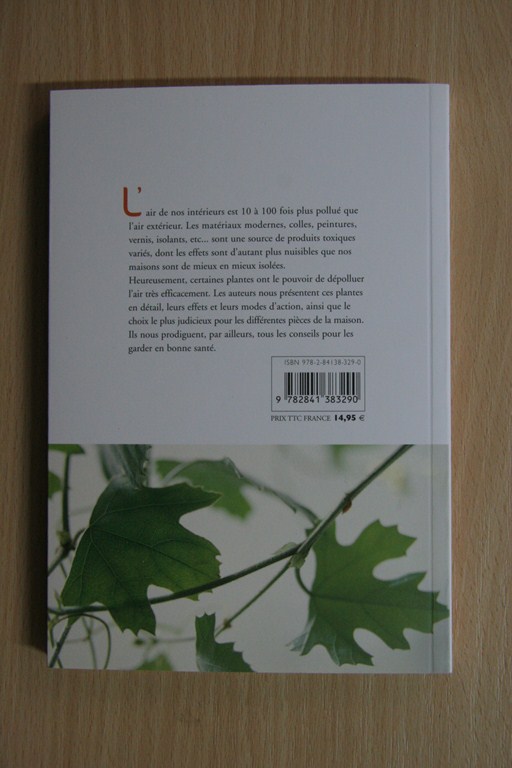 Plantes dépolluantes