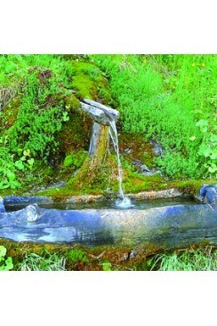 Eau de Roche Elixirs Floraux 
