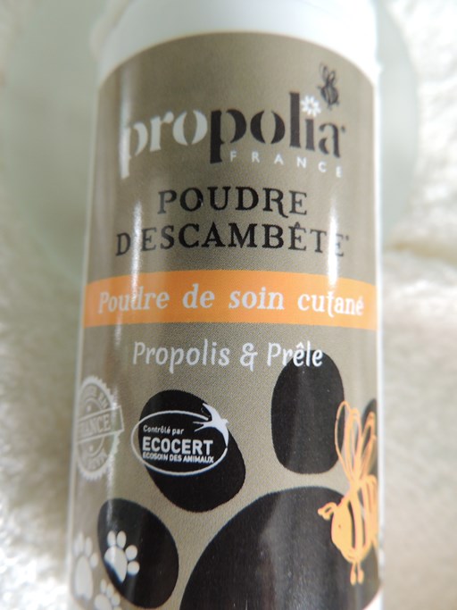 Poudre D'escambête